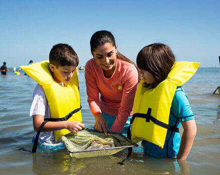 Kids looking at seagrass with naturalist